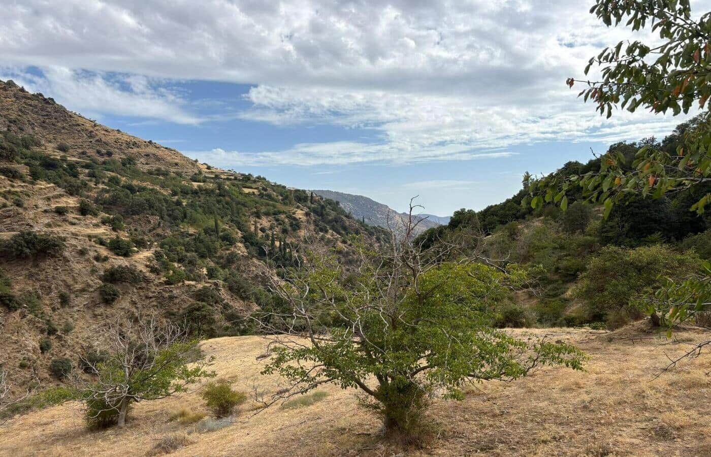 2 soveværelse Finca/Landehus til salg i Capileira - € 39.000 (Ref: 8880089)