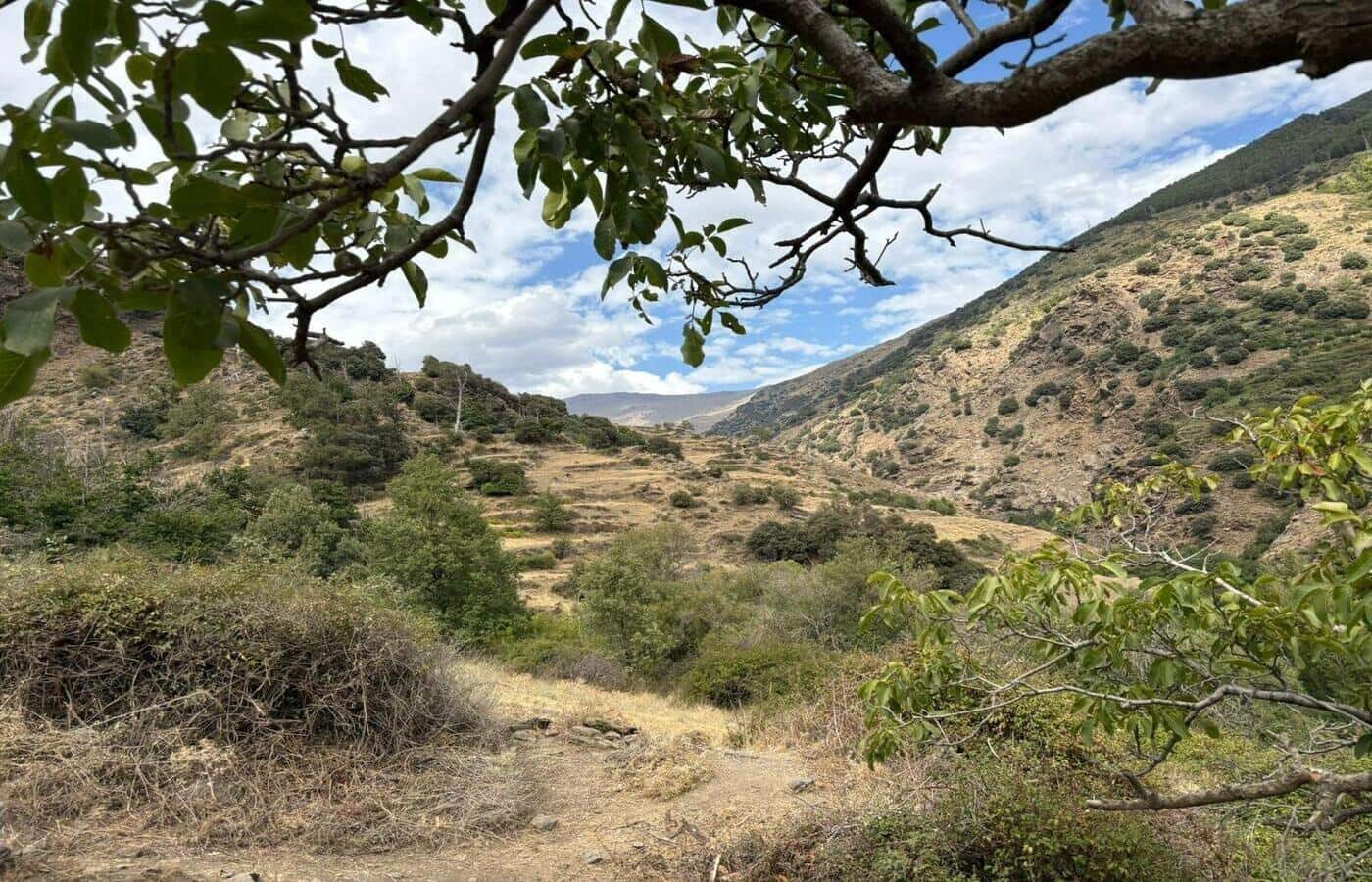 2 soveværelse Finca/Landehus til salg i Capileira - € 39.000 (Ref: 8880089)