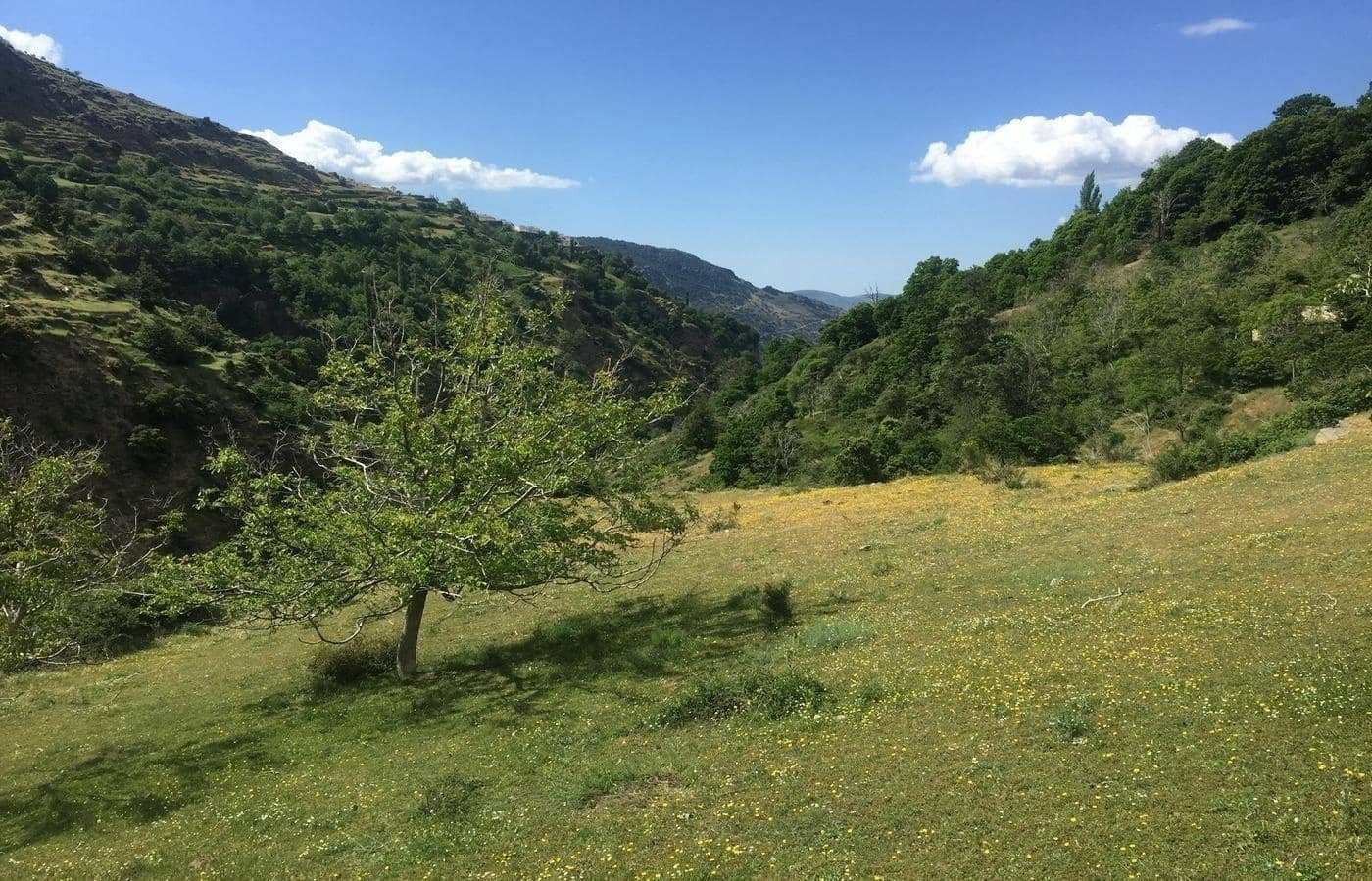 2 soveværelse Finca/Landehus til salg i Capileira - € 39.000 (Ref: 8880089)