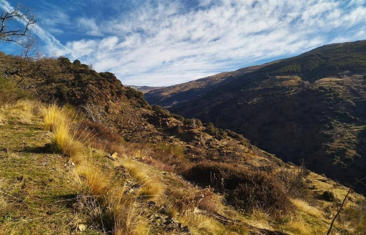 2 soveværelse Finca/Landehus til salg i Capileira - € 39.000 (Ref: 8880089)