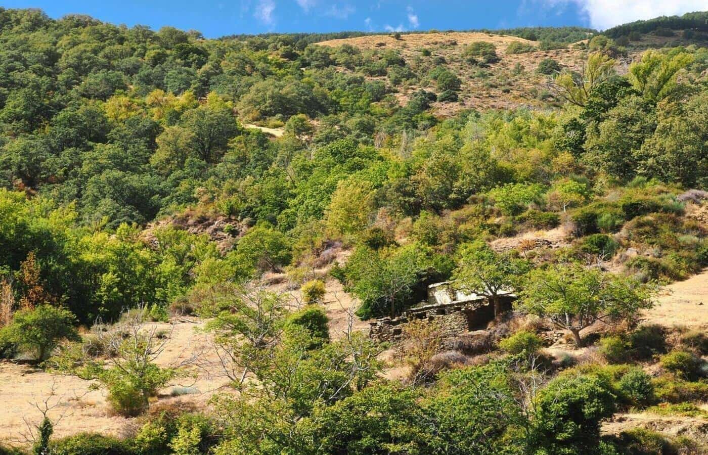 2 soveværelse Finca/Landehus til salg i Capileira - € 39.000 (Ref: 8880089)