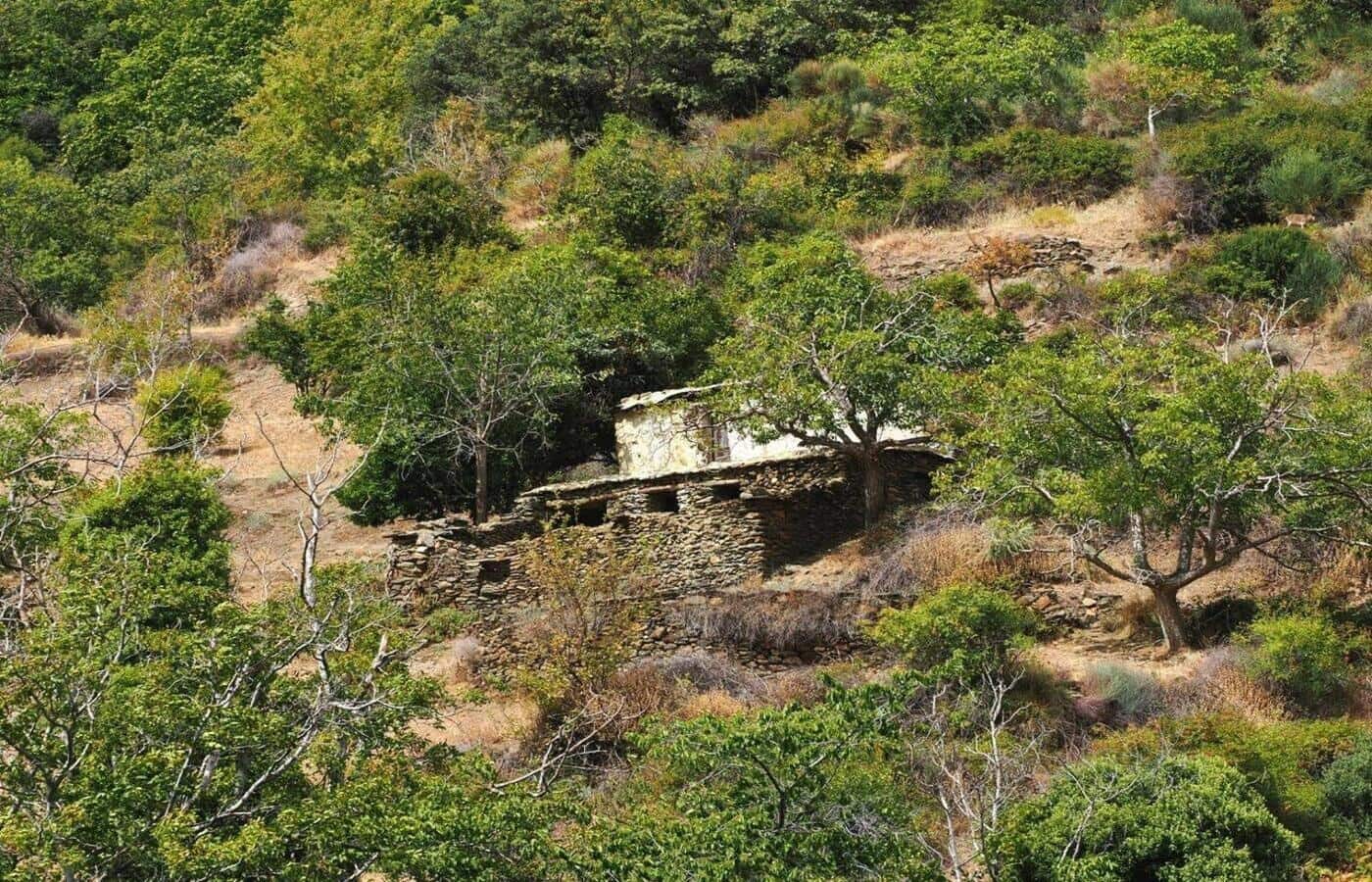 2 soveværelse Finca/Landehus til salg i Capileira - € 39.000 (Ref: 8880089)