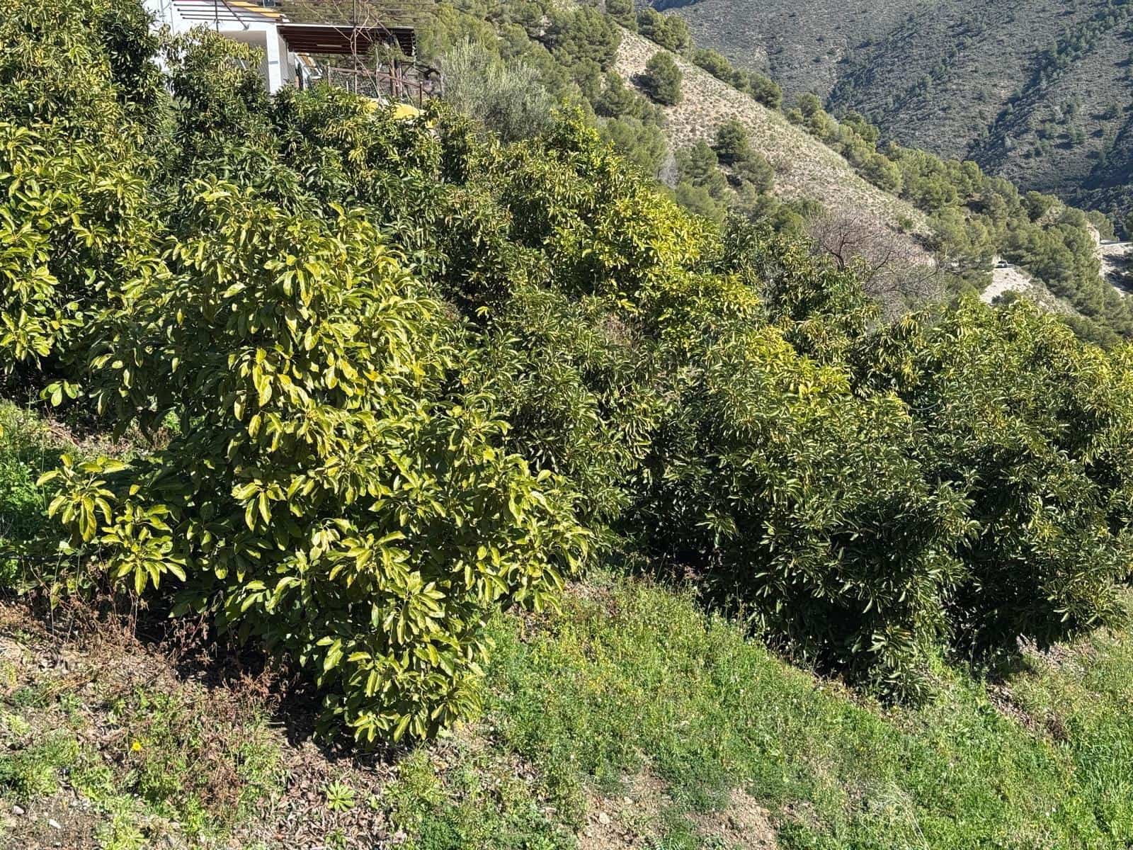 Grunde uden byggetilladelser til salg i Competa - € 195.000 (Ref: 8881694)