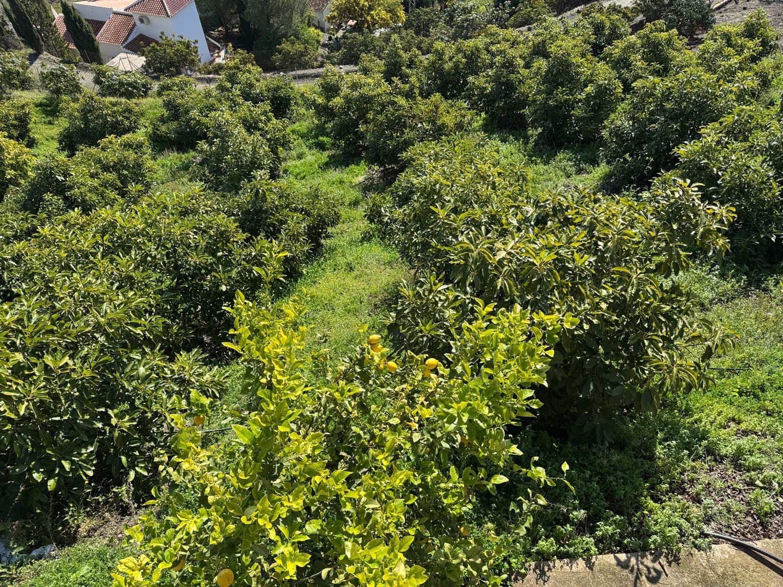 Grunde uden byggetilladelser til salg i Competa - € 195.000 (Ref: 8881694)