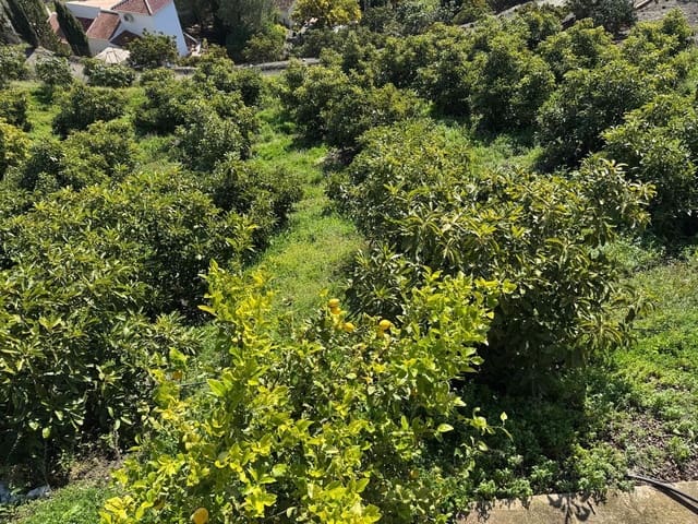 Mark till salu i Cómpeta - 195 000 € (Ref: 8881694)