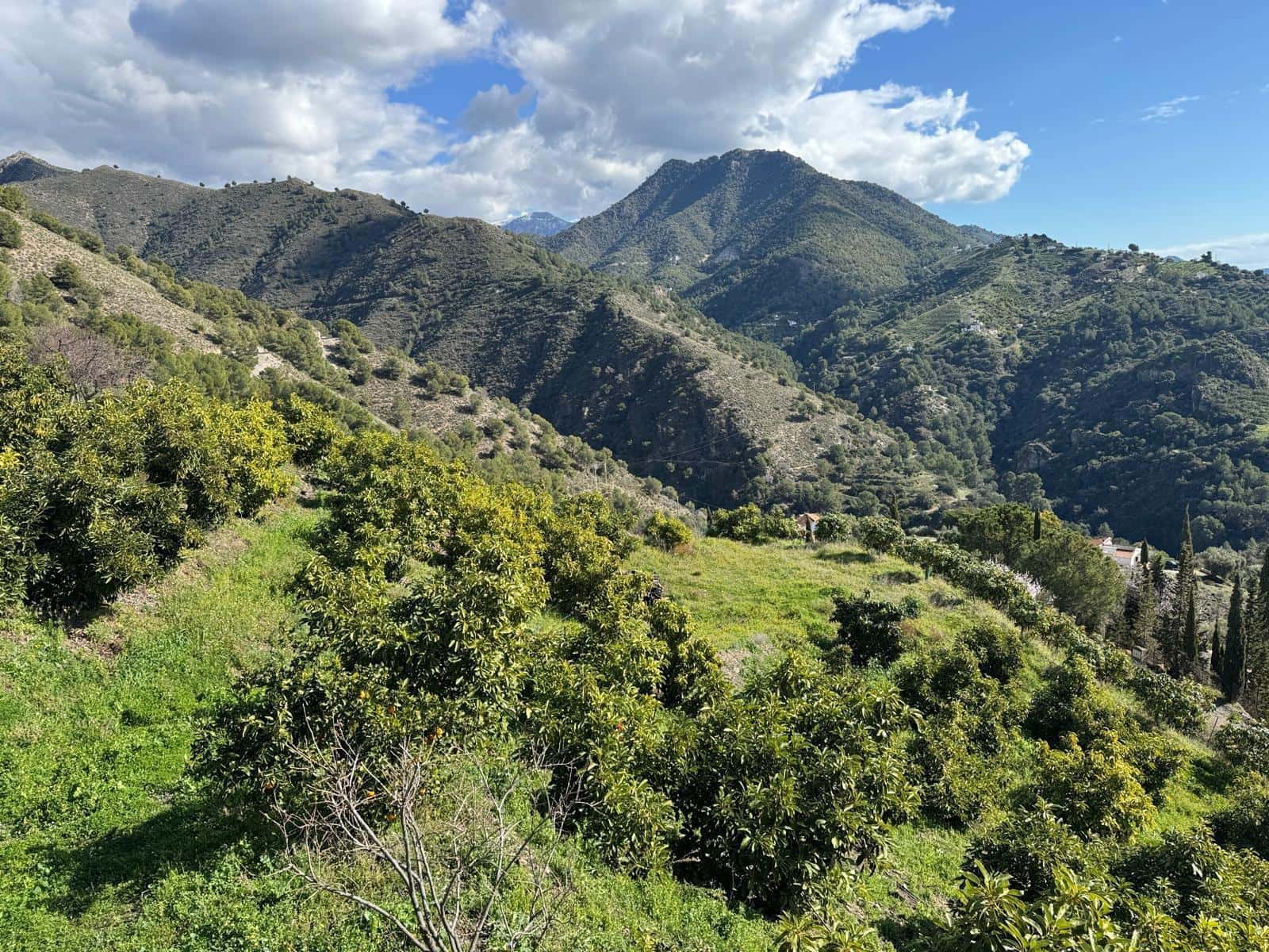 Grunde uden byggetilladelser til salg i Competa - € 195.000 (Ref: 8881694)