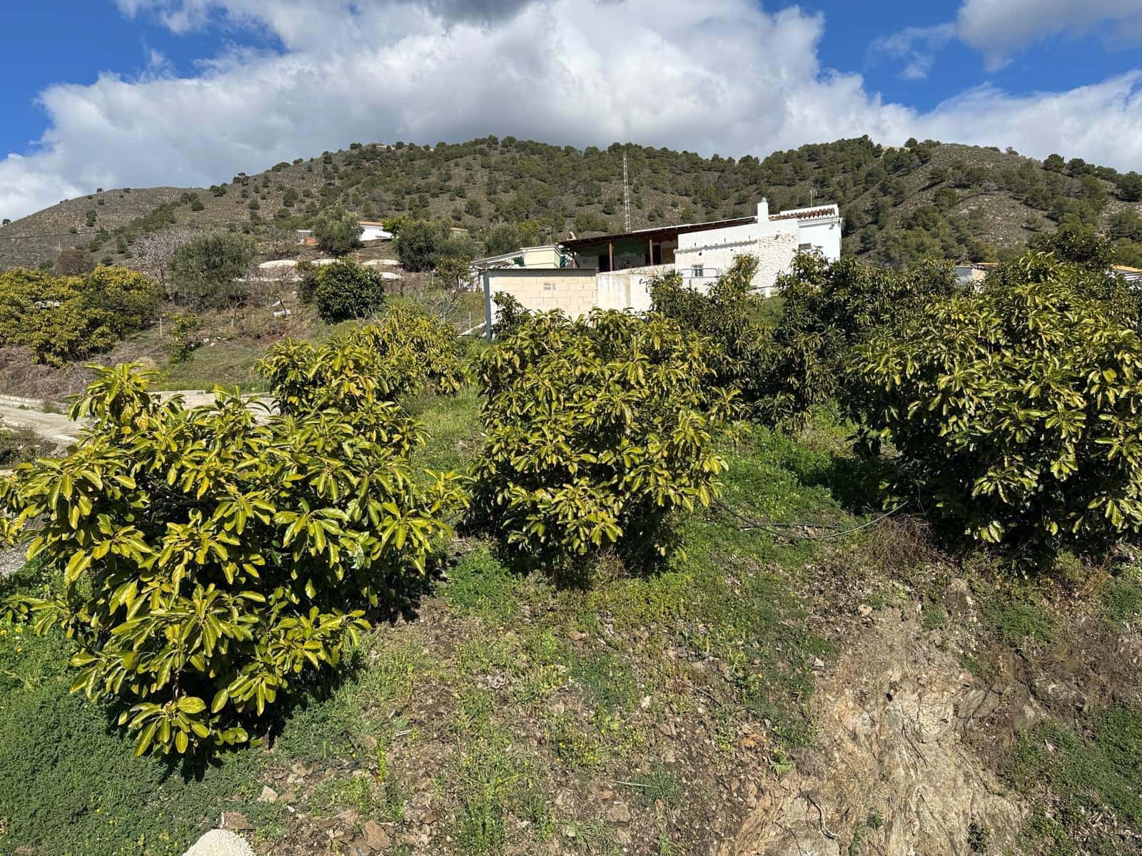 Grunde uden byggetilladelser til salg i Competa - € 195.000 (Ref: 8881694)