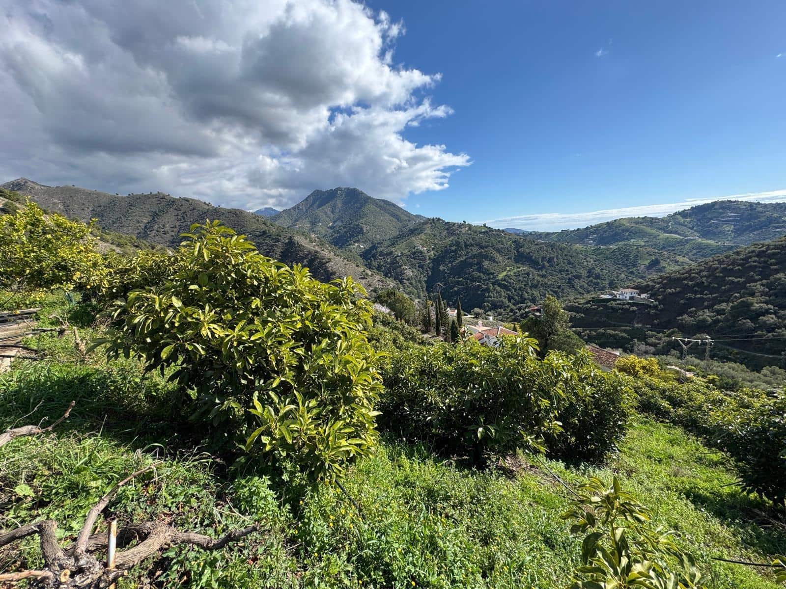 Grunde uden byggetilladelser til salg i Competa - € 195.000 (Ref: 8881694)