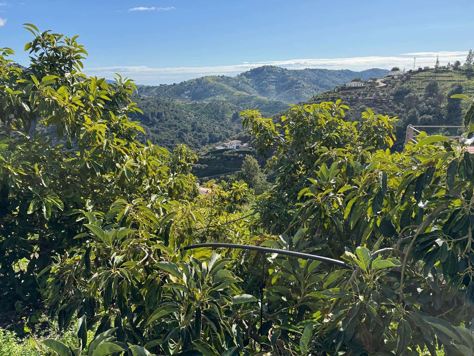 Grunde uden byggetilladelser til salg i Competa - € 195.000 (Ref: 8881694)