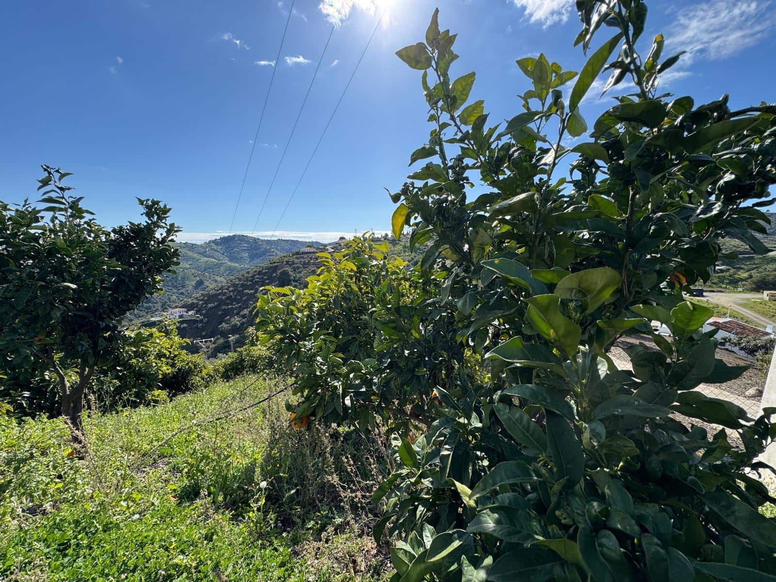 Grunde uden byggetilladelser til salg i Competa - € 195.000 (Ref: 8881694)