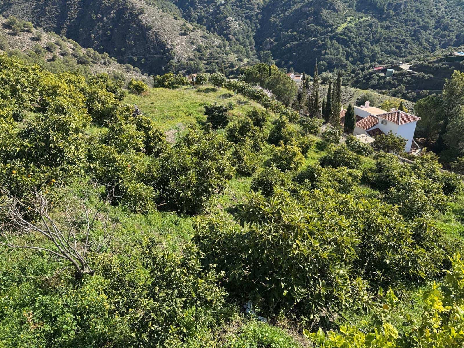 Grunde uden byggetilladelser til salg i Competa - € 195.000 (Ref: 8881694)