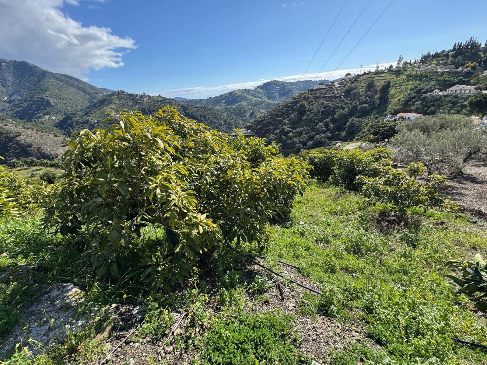 Grunde uden byggetilladelser til salg i Competa - € 195.000 (Ref: 8881694)