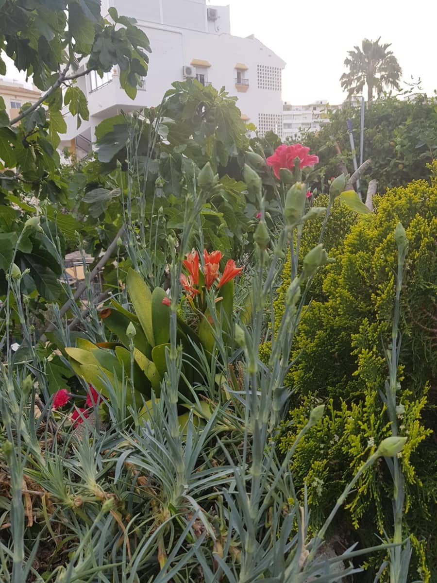 Terrain à Bâtir à vendre à Arroyo de la Miel - 2 100 000 € (Ref: 8957315)