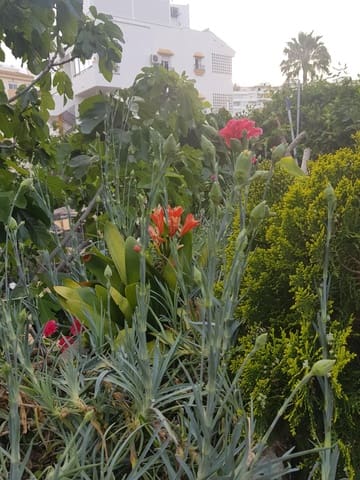 Bouwgrond te koop in Arroyo de la Miel, Benalmádena - € 2.100.000 (Ref: 8957315)