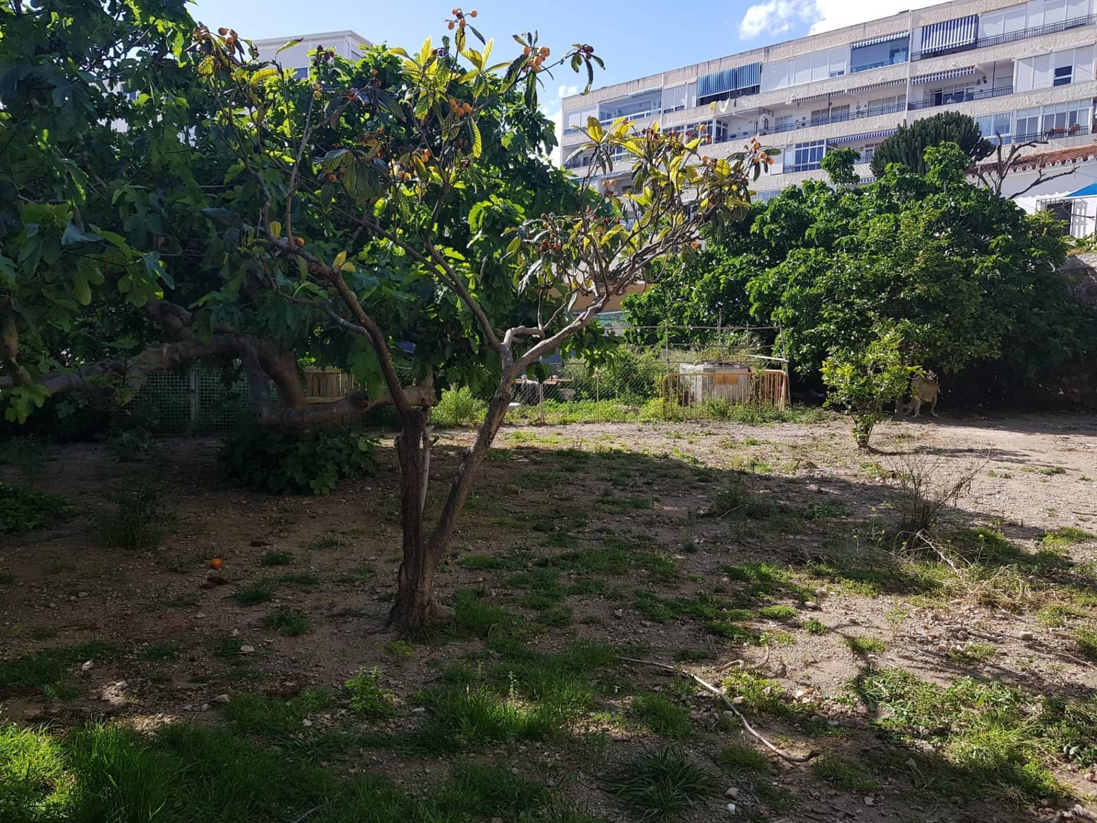 Terrain à Bâtir à vendre à Arroyo de la Miel - 2 100 000 € (Ref: 8957315)