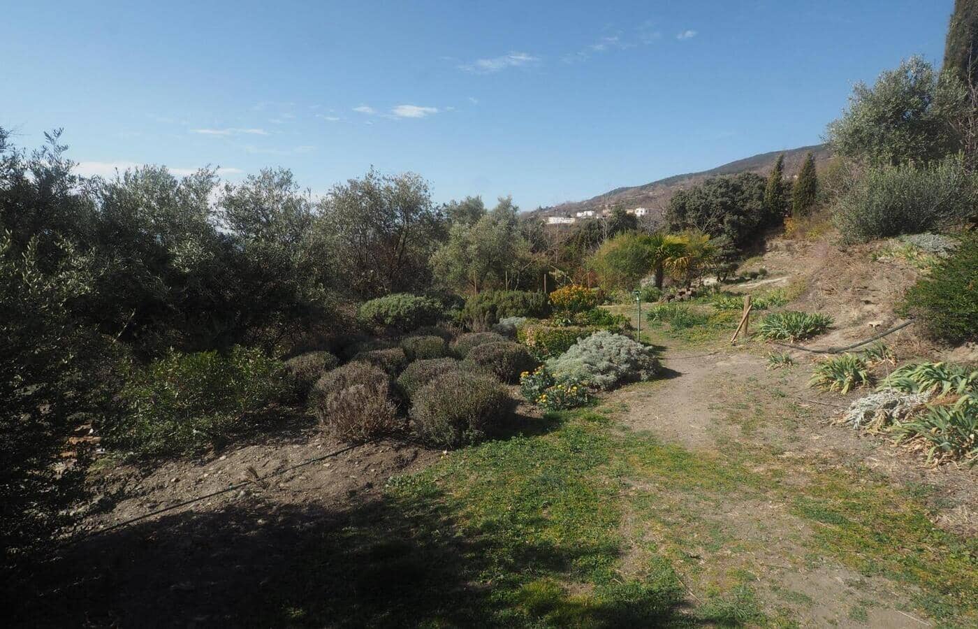 7 sypialnia Finka/Dom wiejski na sprzedaż w Portugos z basenem - 575 000 € (Ref: 8972812)