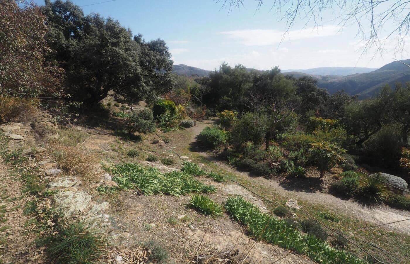 7 sypialnia Finka/Dom wiejski na sprzedaż w Portugos z basenem - 575 000 € (Ref: 8972812)