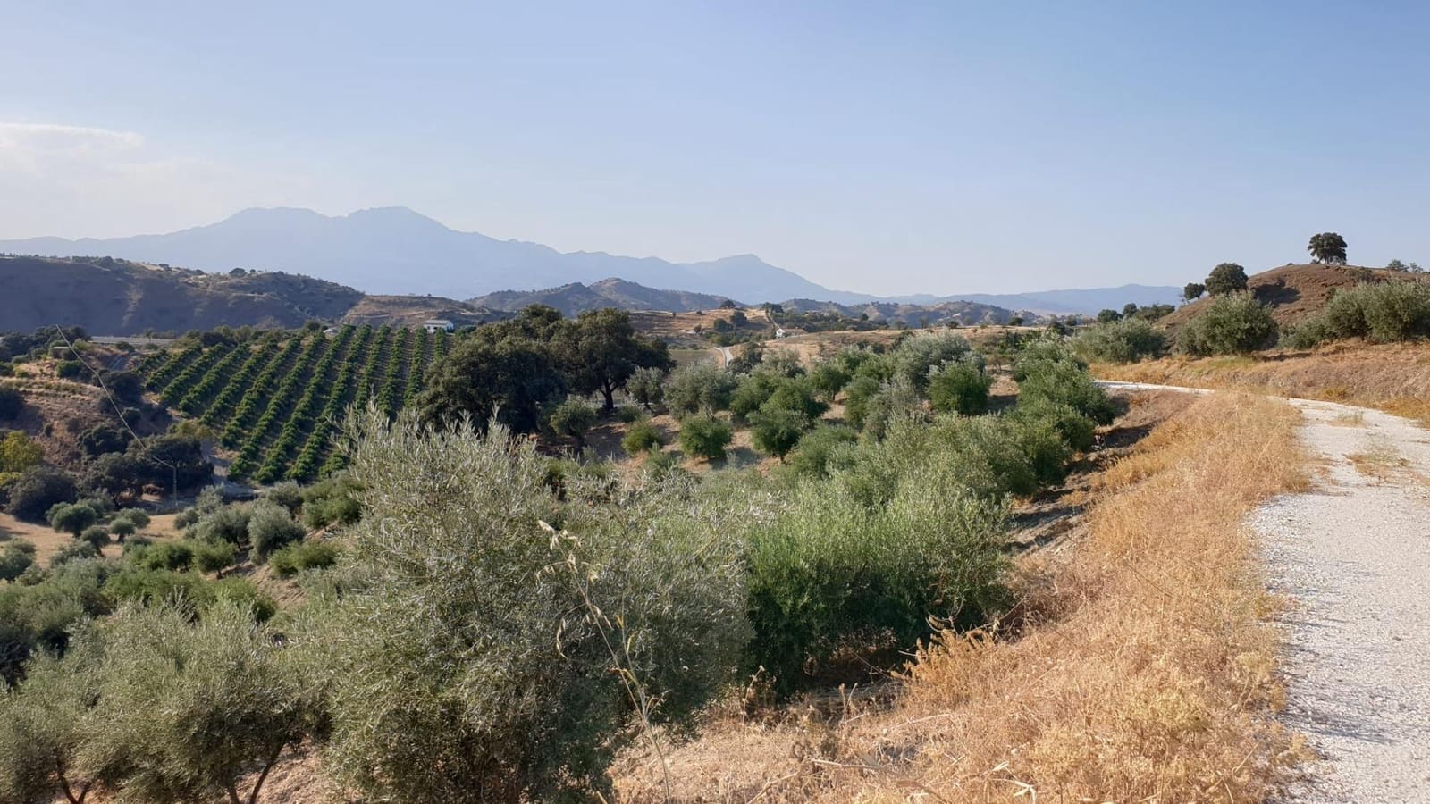 2 bedroom Finca/Country House for sale in Coin with pool - € 1,795,000 (Ref: 8982568)