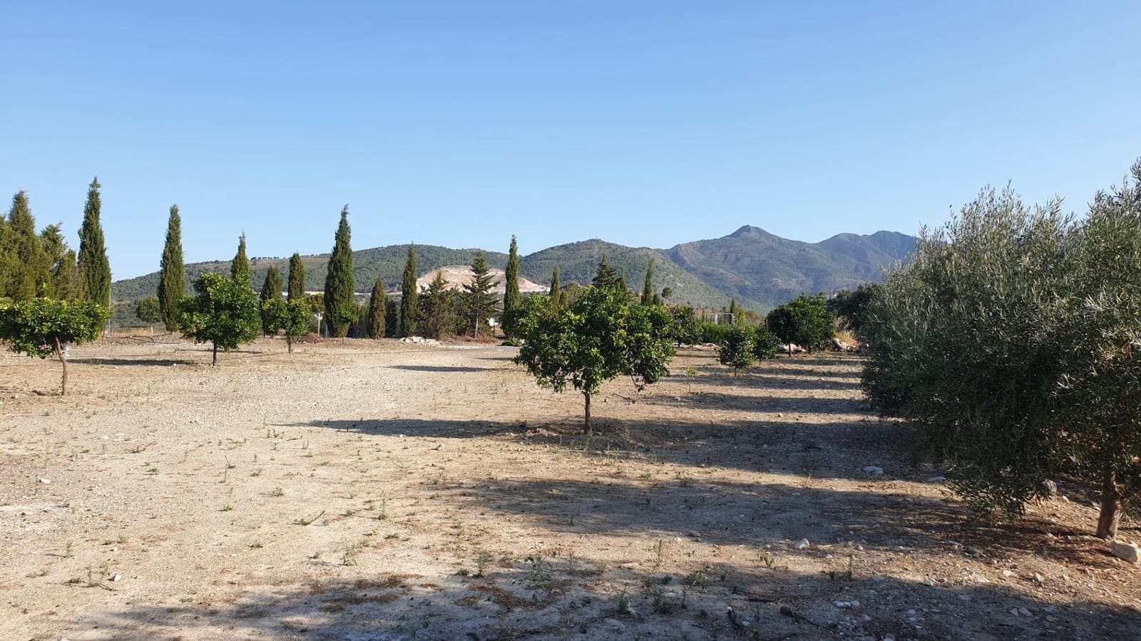 2 bedroom Finca/Country House for sale in Coin with pool - € 1,795,000 (Ref: 8982568)
