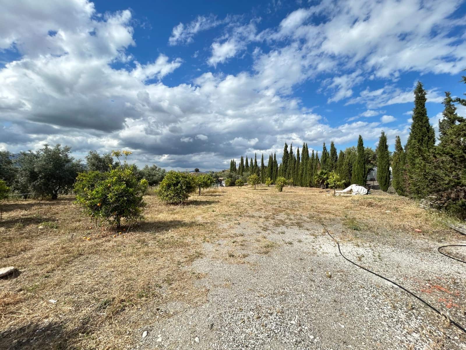 2 bedroom Finca/Country House for sale in Coin with pool - € 1,795,000 (Ref: 8982568)