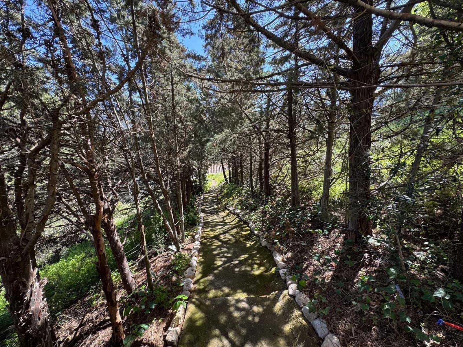 6 soveværelse Villa til salg i Ardales - € 569.000 (Ref: 8999282)