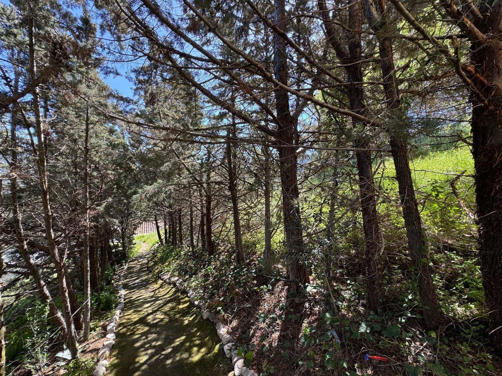 6 soveværelse Villa til salg i Ardales - € 569.000 (Ref: 8999282)