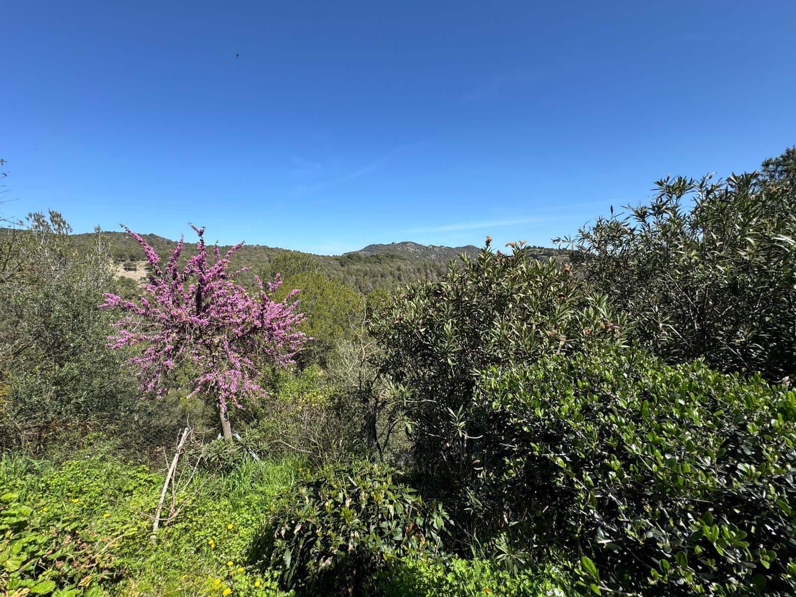 6 soveværelse Villa til salg i Ardales - € 569.000 (Ref: 8999282)