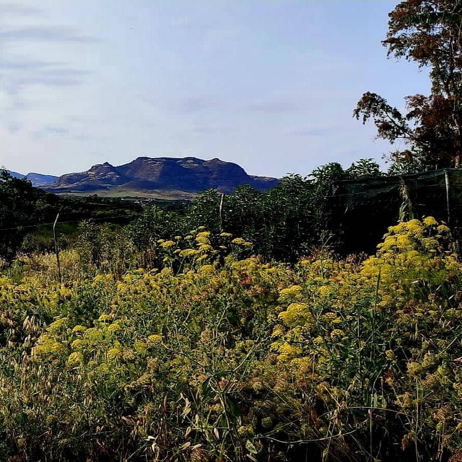 Ubebygd land til salgs i Cartama - € 352 800 (Ref: 9014547)