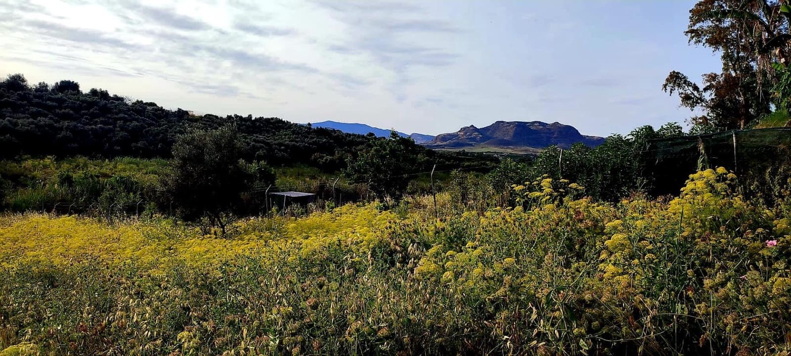 Ubebygd land til salgs i Cartama - € 352 800 (Ref: 9014547)