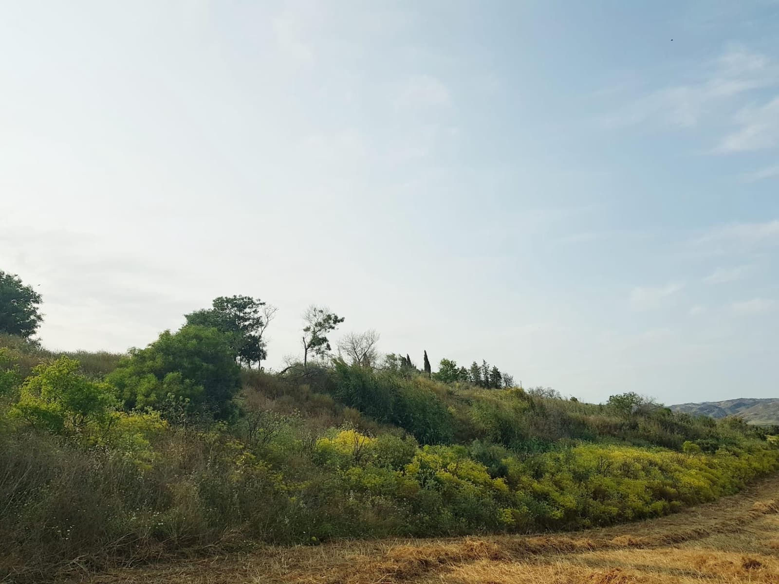 Ubebygd land til salgs i Cartama - € 352 800 (Ref: 9014547)