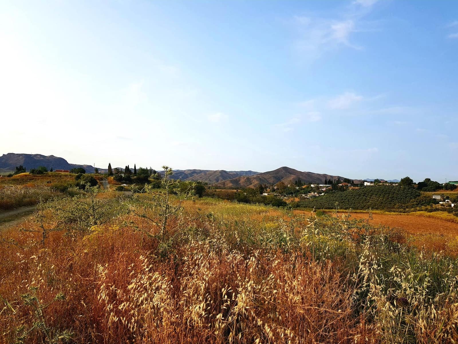 Ubebygd land til salgs i Cartama - € 352 800 (Ref: 9014547)