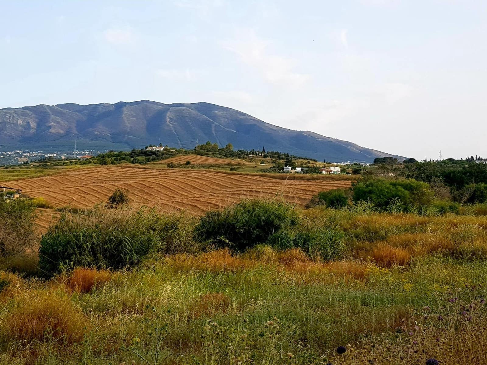 Ubebygd land til salgs i Cartama - € 352 800 (Ref: 9014547)