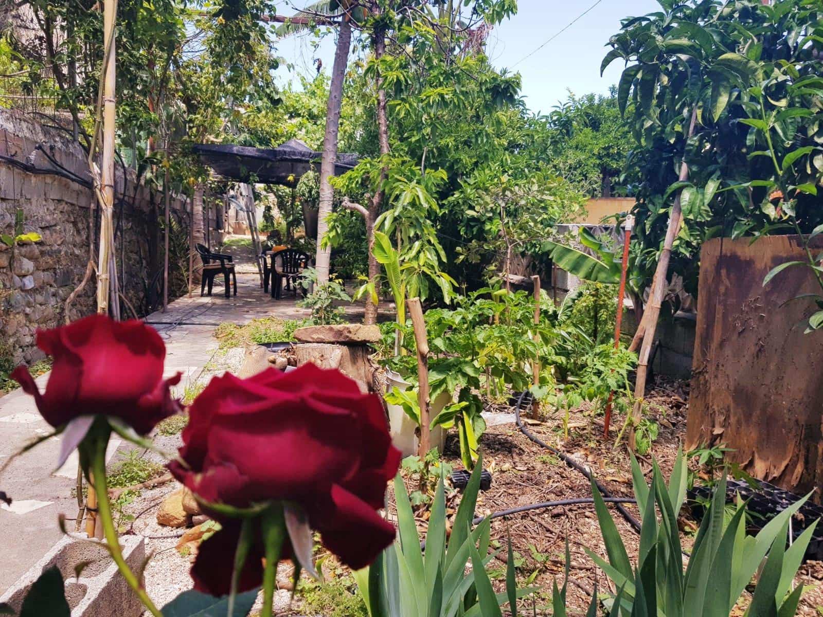 25 soveværelse Hotel til salg i Tolox - € 555.000 (Ref: 9014548)