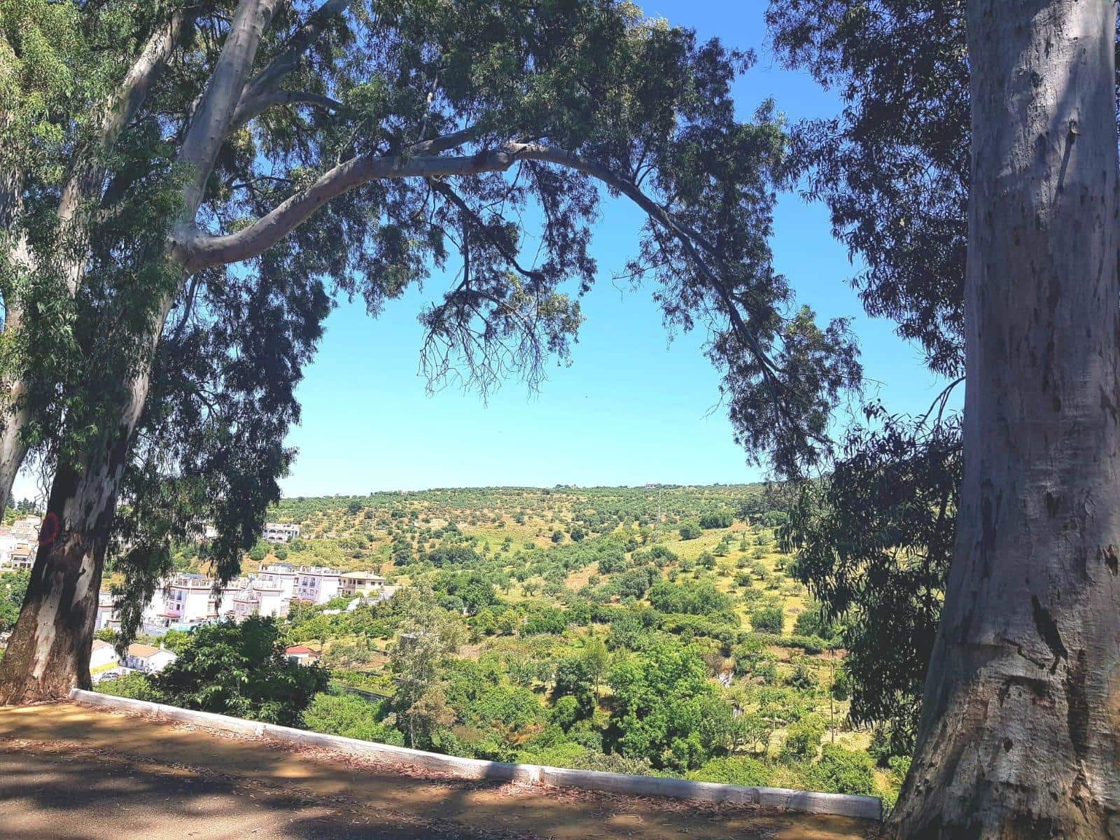 25 soveværelse Hotel til salg i Tolox - € 555.000 (Ref: 9014548)