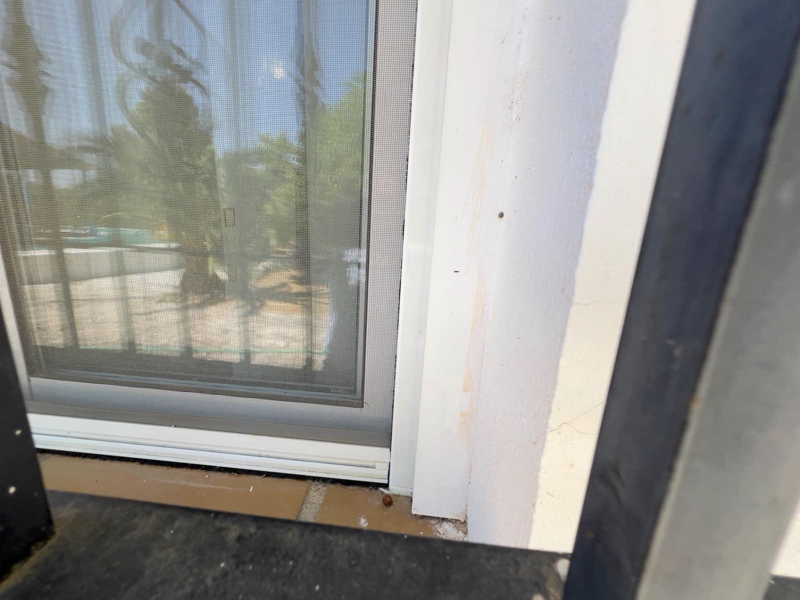 Finca/Casa Rural de 4 habitaciones en Moraleda de Zafayona en venta con piscina - 270.000 € (Ref: 9112530)