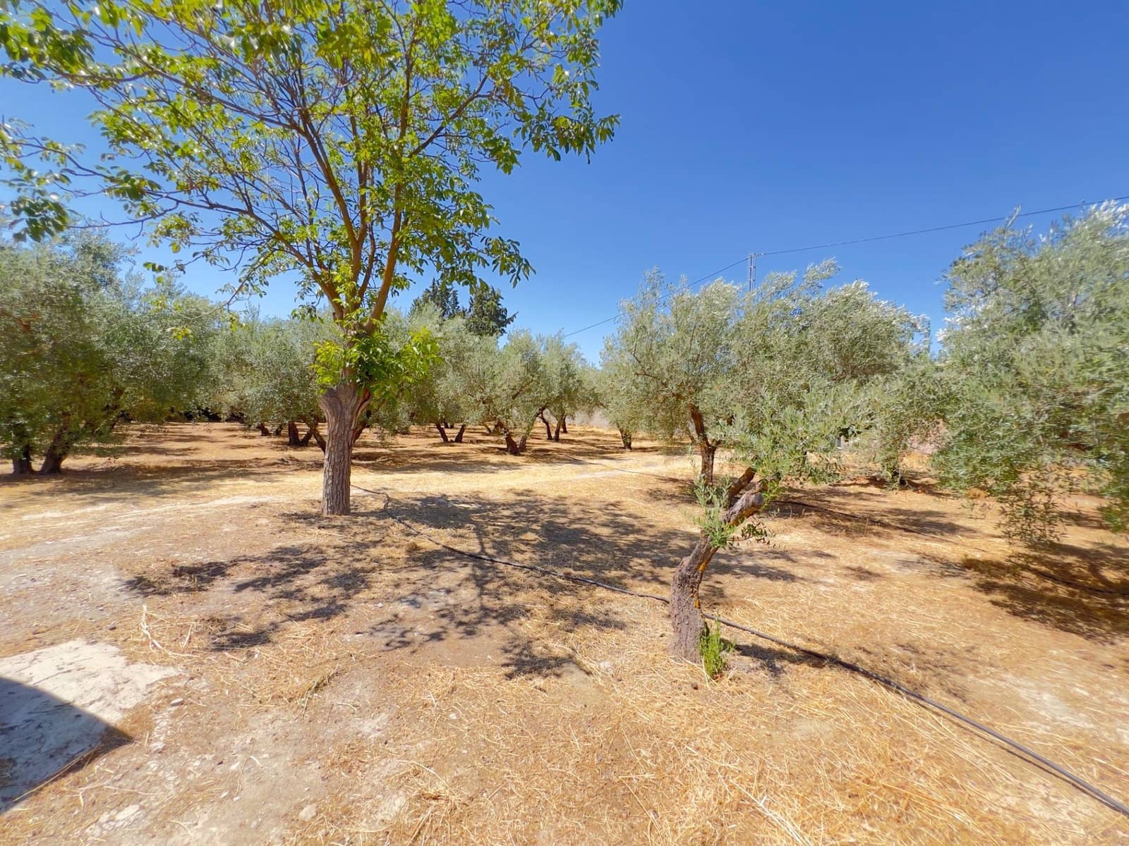 Finca/Casa Rural de 4 habitaciones en Moraleda de Zafayona en venta con piscina - 270.000 € (Ref: 9112530)