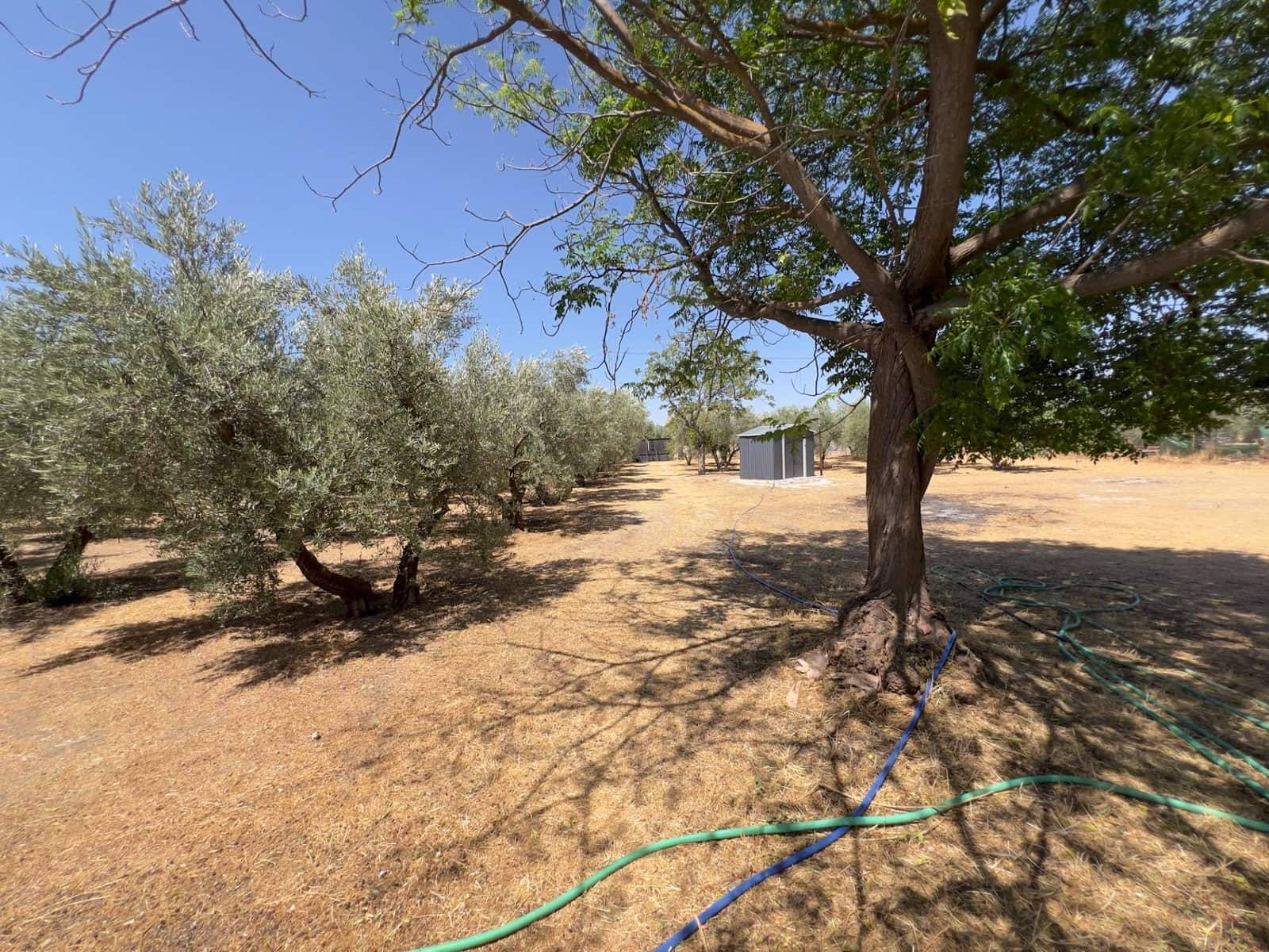 Finca/Casa Rural de 4 habitaciones en Moraleda de Zafayona en venta con piscina - 270.000 € (Ref: 9112530)