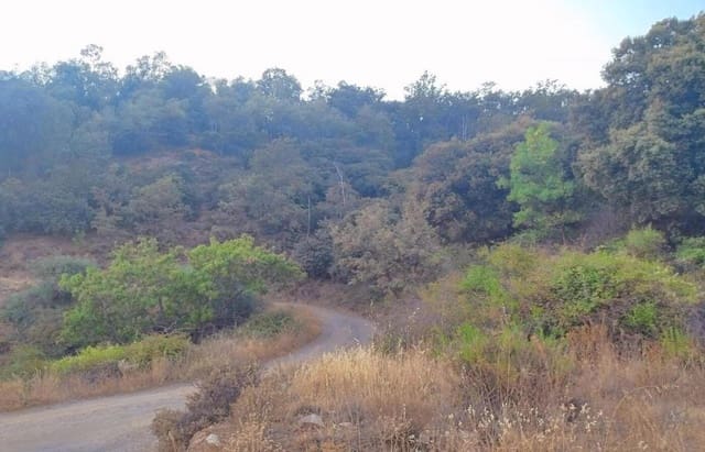 Terreno/Finca Rústica en Busquístar en venta - 78.399 € (Ref: 9191295)