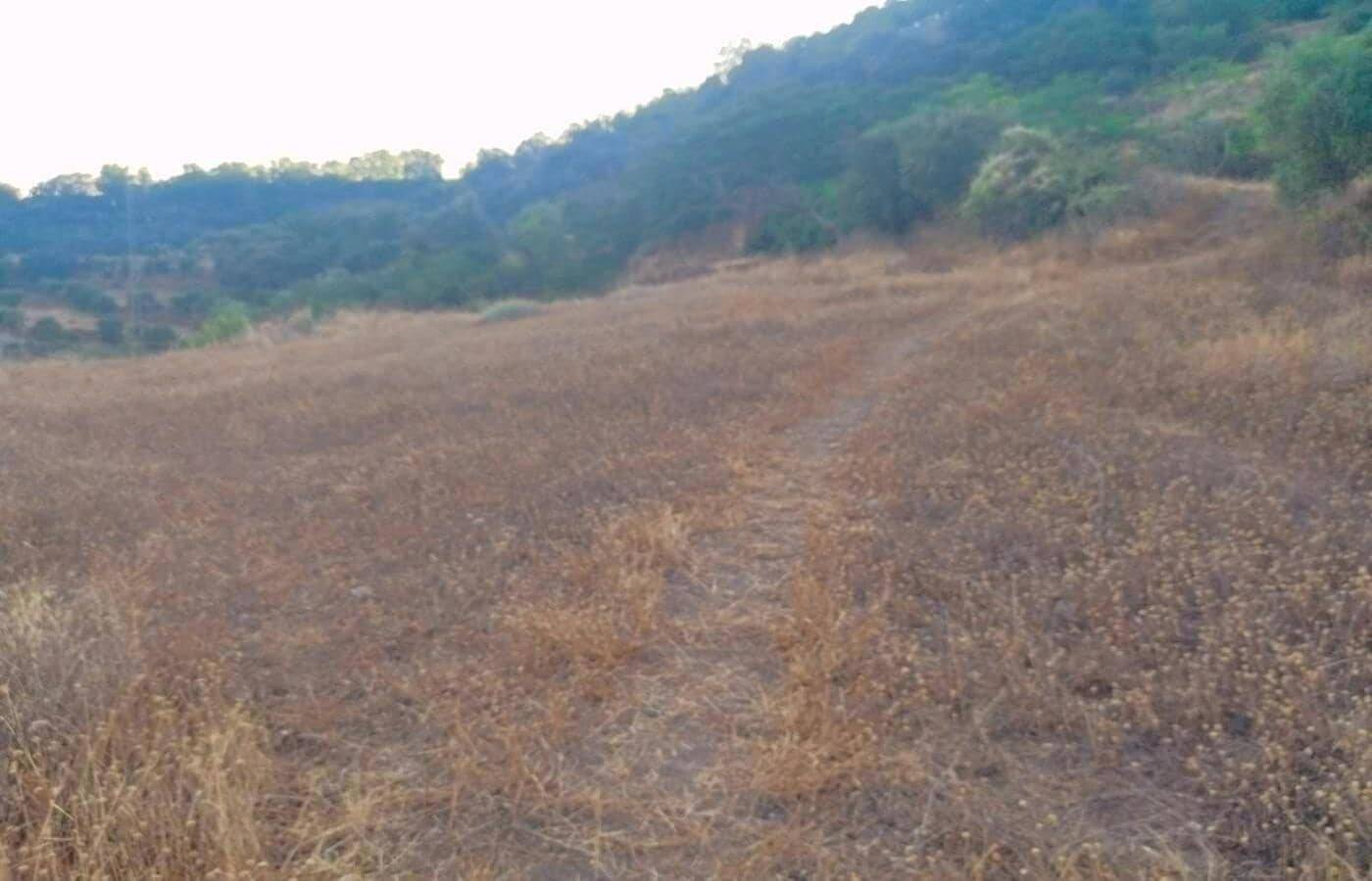 Terreno/Finca Rústica en Busquístar en venta - 78.399 € (Ref: 9191295)