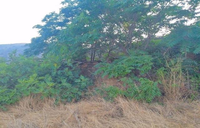 Terreno/Finca Rústica en Busquístar en venta - 78.399 € (Ref: 9191295)