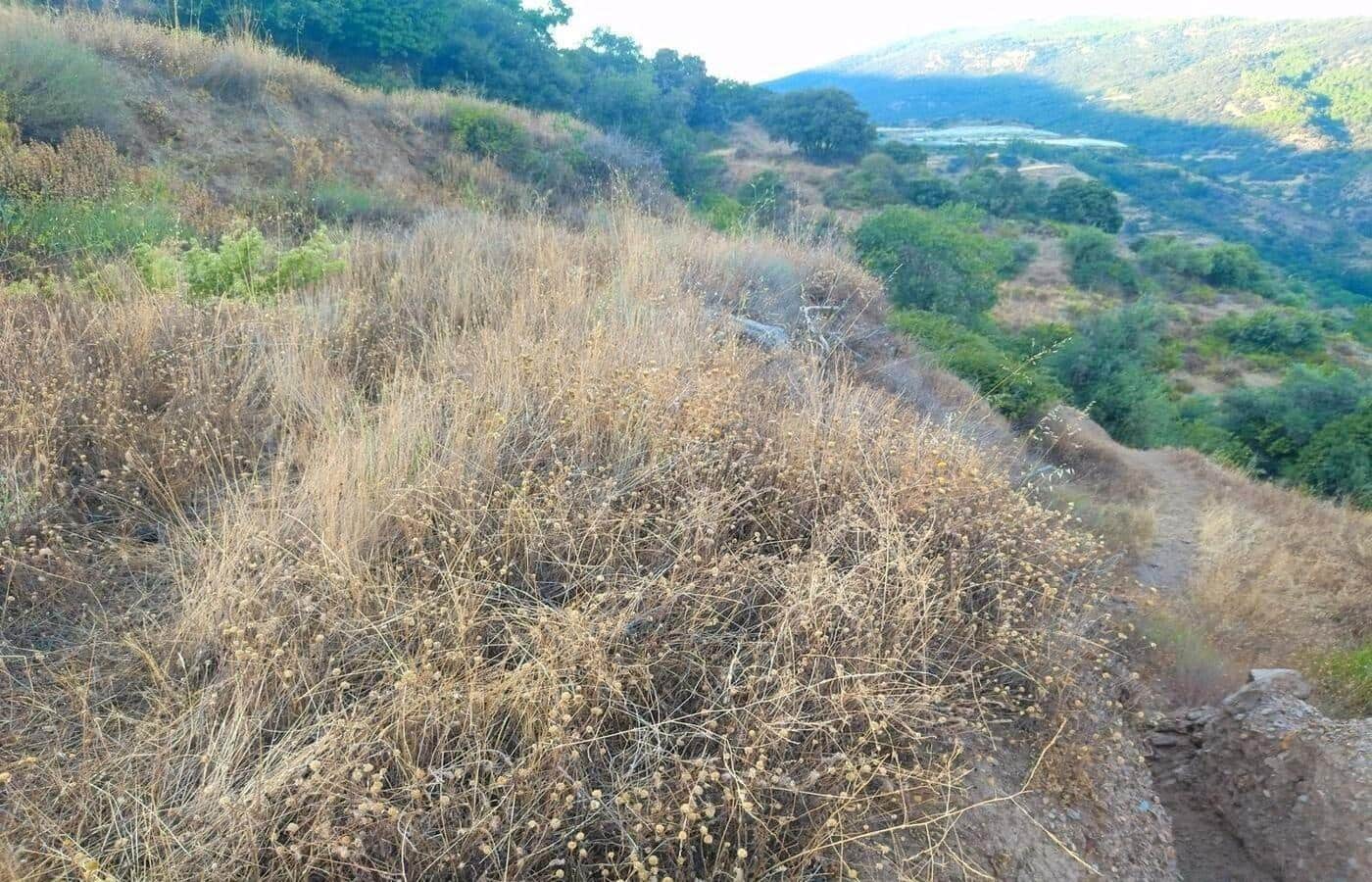 Terreno/Finca Rústica en Busquístar en venta - 78.399 € (Ref: 9191295)