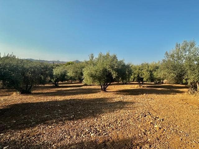 Grunde uden byggetilladelser til salg i Periana - € 160.000 (Ref: 9191296)