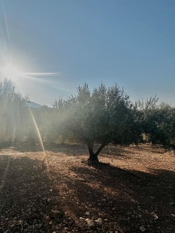 Grunde uden byggetilladelser til salg i Periana - € 160.000 (Ref: 9191296)