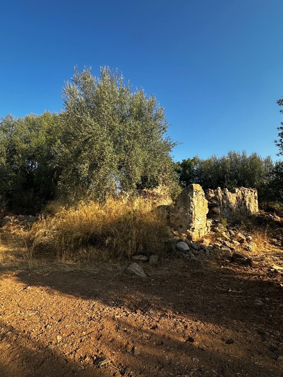 Grunde uden byggetilladelser til salg i Periana - € 160.000 (Ref: 9191296)