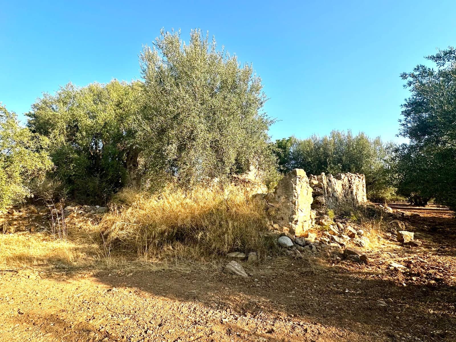 Grunde uden byggetilladelser til salg i Periana - € 160.000 (Ref: 9191296)