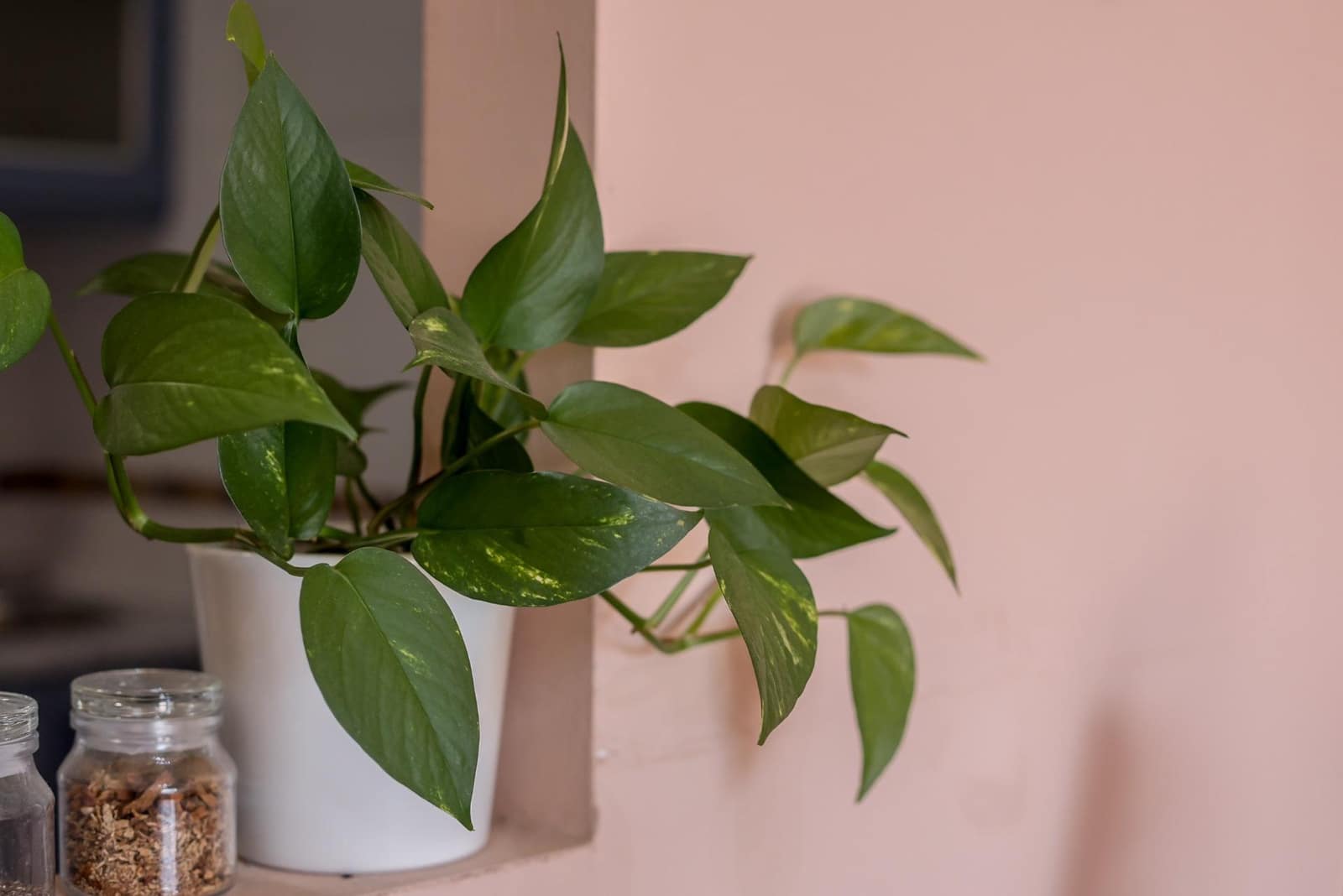 Apartamento de 1 habitación en Málaga ciudad en venta con piscina garaje - 490.000 € (Ref: 9226941)