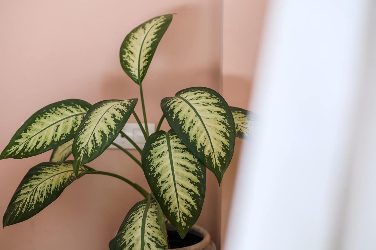 Apartamento de 1 habitación en Málaga ciudad en venta con piscina garaje - 490.000 € (Ref: 9226941)