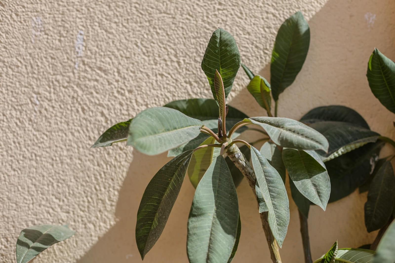 Apartamento de 1 habitación en Málaga ciudad en venta con piscina garaje - 490.000 € (Ref: 9226941)