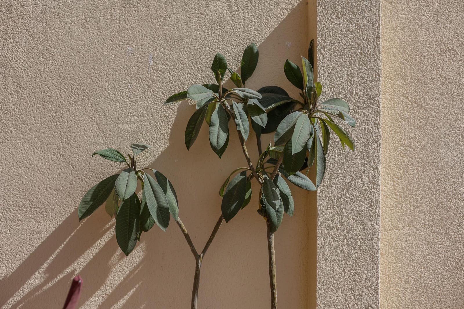 Apartamento de 1 habitación en Málaga ciudad en venta con piscina garaje - 490.000 € (Ref: 9226941)