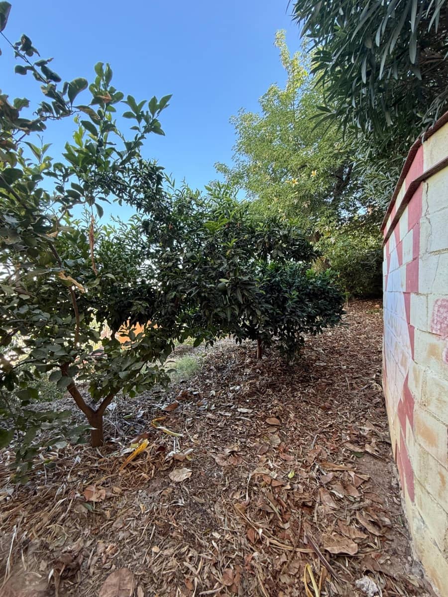 7 soveværelse Villa til salg i Coin - € 1.400.000 (Ref: 9243253)